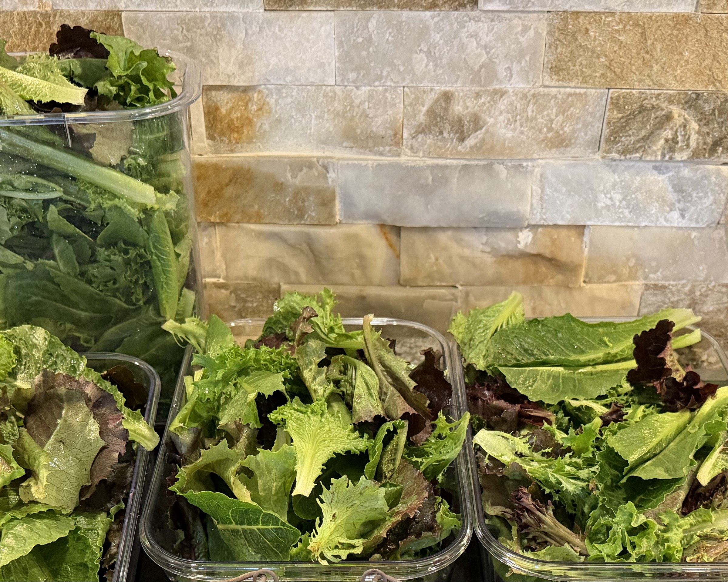 Containers of just-harvested mixed lettuce from PHC Farm