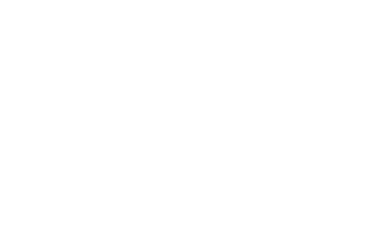 Mr. Roofing
