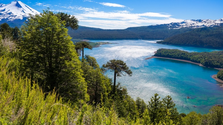 a view of a lake surrounded by trees and mountains