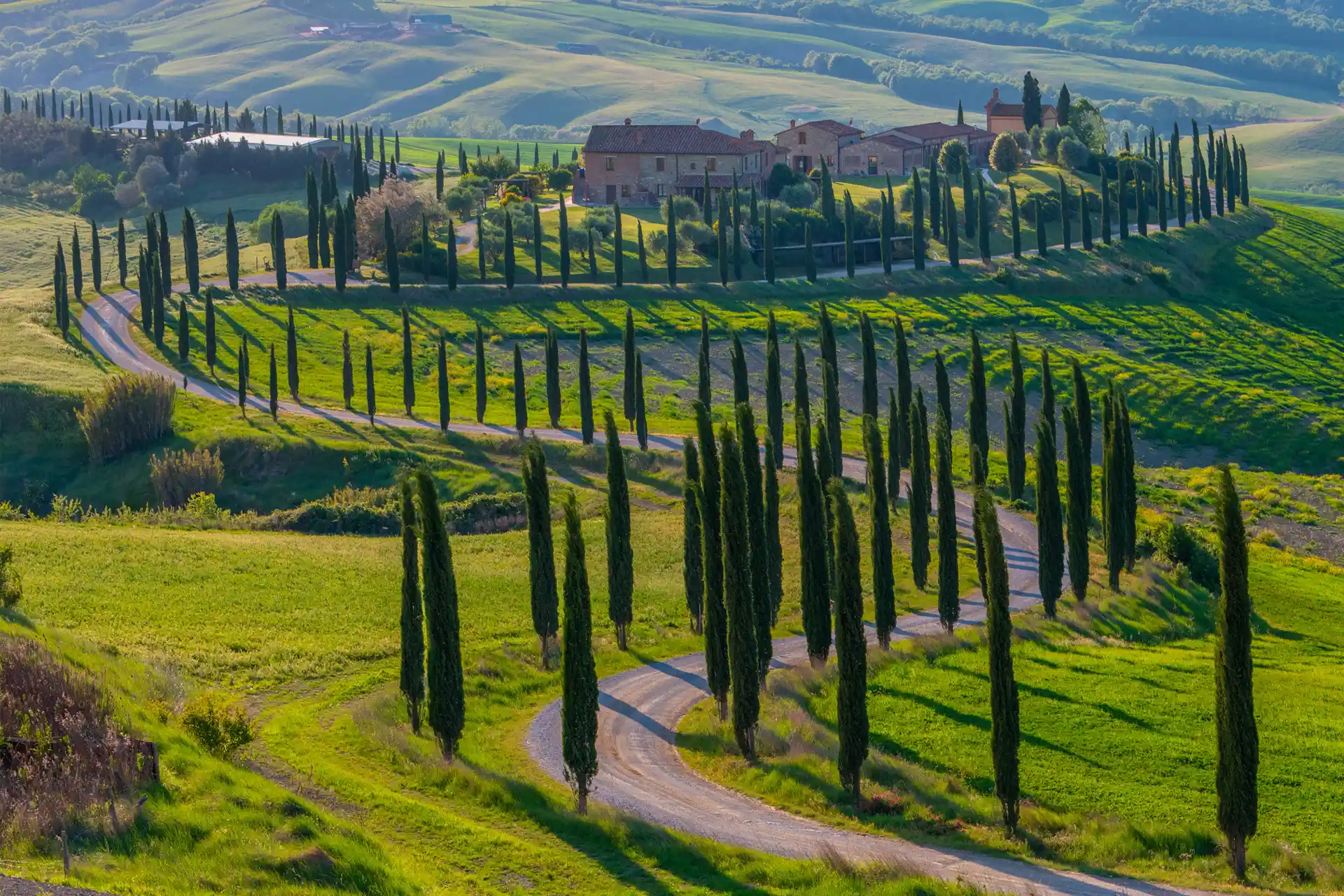 A cypress-lined road winding through the Tuscan hills