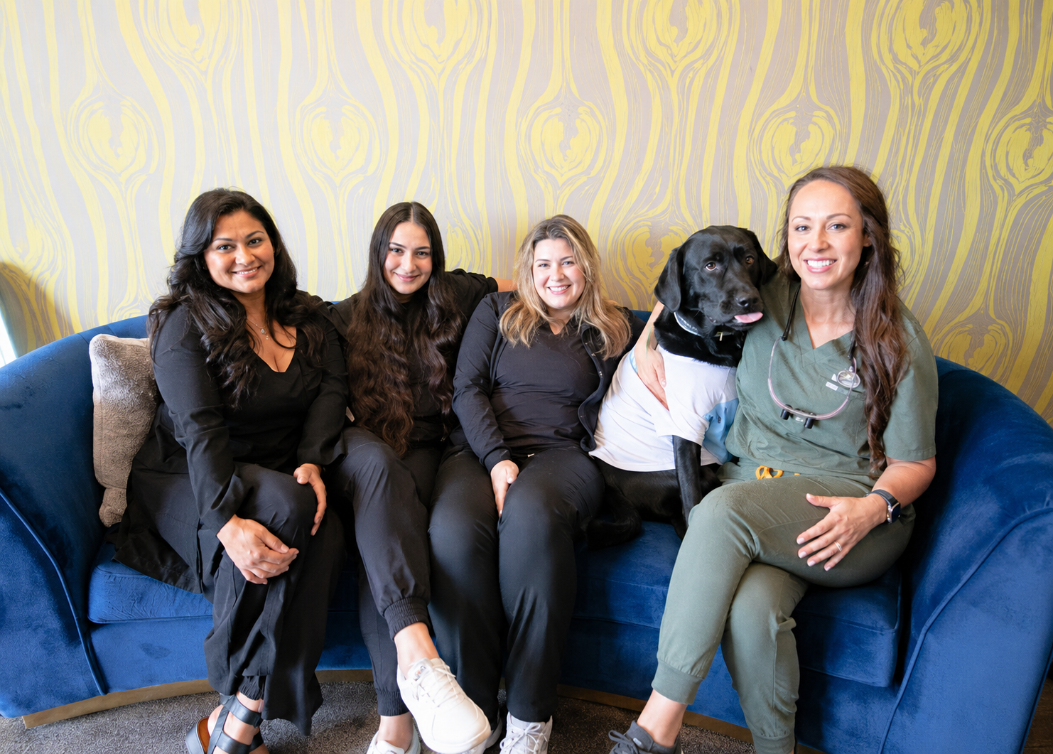 Four Comfydent Smiles team members sitting together on a blue velvet sofa with their black Labrador office dog in the dental practice waiting area