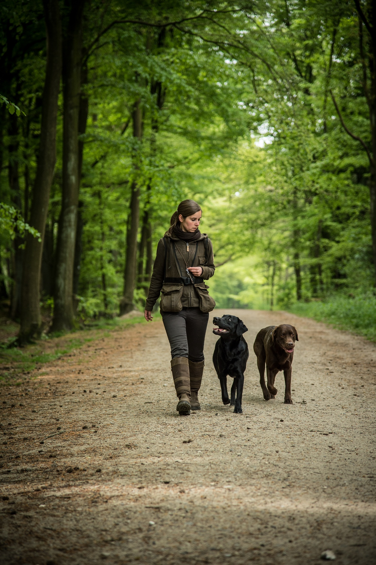 Nina Wolber laeuft mit ihren beiden Labradoren durch einen Buchenwald