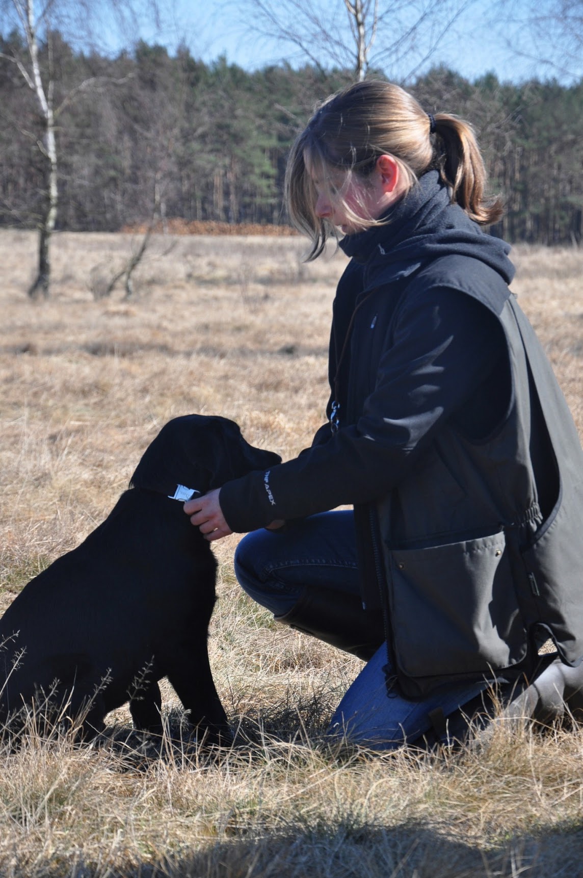 Nina Wolber arbeitet kniend mit ihrem Labrador im Alltagstraining