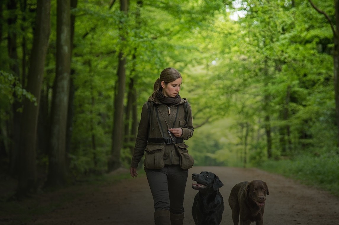 Nina Wolber läuft mit ihren beiden Labradoren durch einen Buchenwald