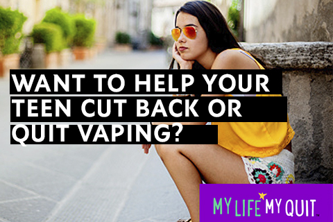 My Life My Quit Partner Toolkit
