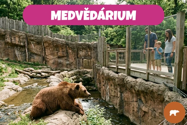 Hnědý medvěd odpočívající na kameni ve venkovním výběhu s rodinou pozorující přes zábradlí.
