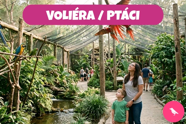 Žena a dítě sledují papoušky v ptačí voliéře plné zeleně a cestou s dalšími návštěvníky.