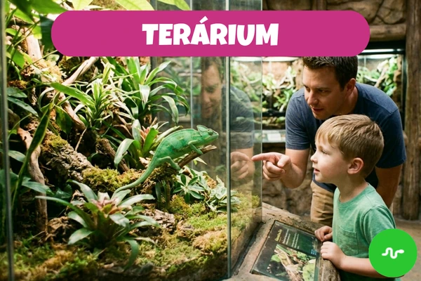 Otec a syn sledují chameleona v teráriu plném zelených rostlin a mechu.