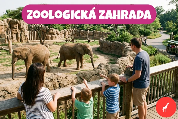 Rodina pozorující slony v zoologické zahradě ze dřevěného zábradlí.