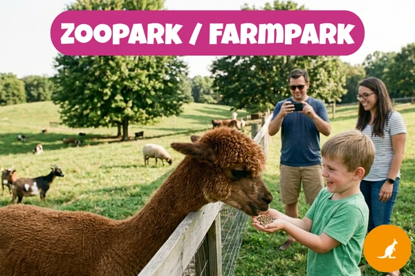 Chlapec krmí alpaku přes plot, dva dospělí pozorují a fotí na farmě v Zooparku.