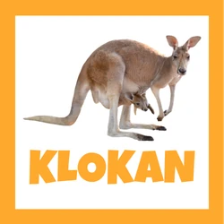Krásný klokan stojící s předníma nohama přitaženýma k tělu na oranžovobílém pozadí.