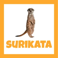 Surikata stojící vzpřímeně na nohou na bílém pozadí s oranžovým rámečkem a nápisem SURIKATA.