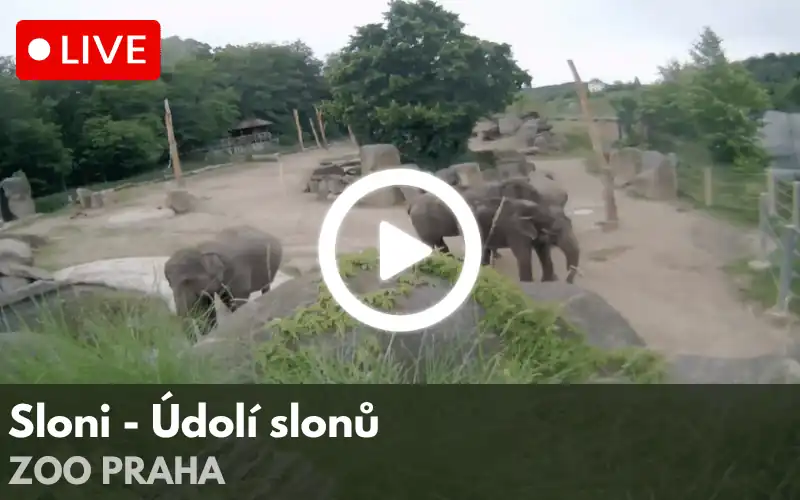 Logo ZOO Praha s barevnými otisky stop různých zvířat v zelené, červené, modré, žluté a oranžové barvě.