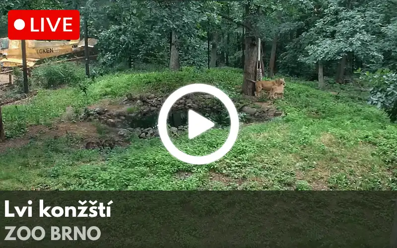 Logo ZOO Praha s barevnými otisky stop různých zvířat v zelené, červené, modré, žluté a oranžové barvě.