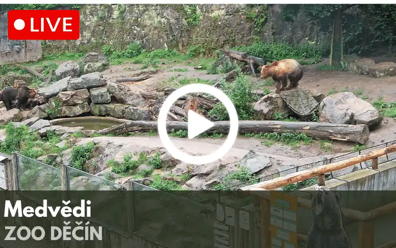 Logo ZOO Praha s barevnými otisky stop různých zvířat v zelené, červené, modré, žluté a oranžové barvě.
