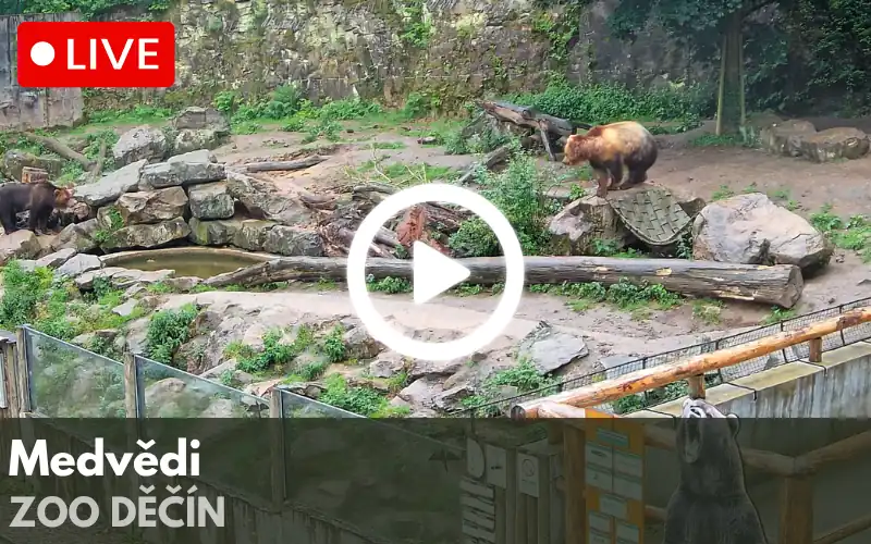 Logo ZOO Praha s barevnými otisky stop různých zvířat v zelené, červené, modré, žluté a oranžové barvě.