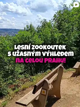 Lesní zookoutek s lavičkami a výhledem na Prahu pod modrou oblohou s mraky.