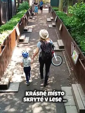 Dítě a dospělý drží se za ruce na lesní cestě, dospělý nese dětské kolo.