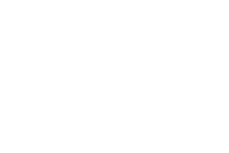 North Star Special Brand Logo