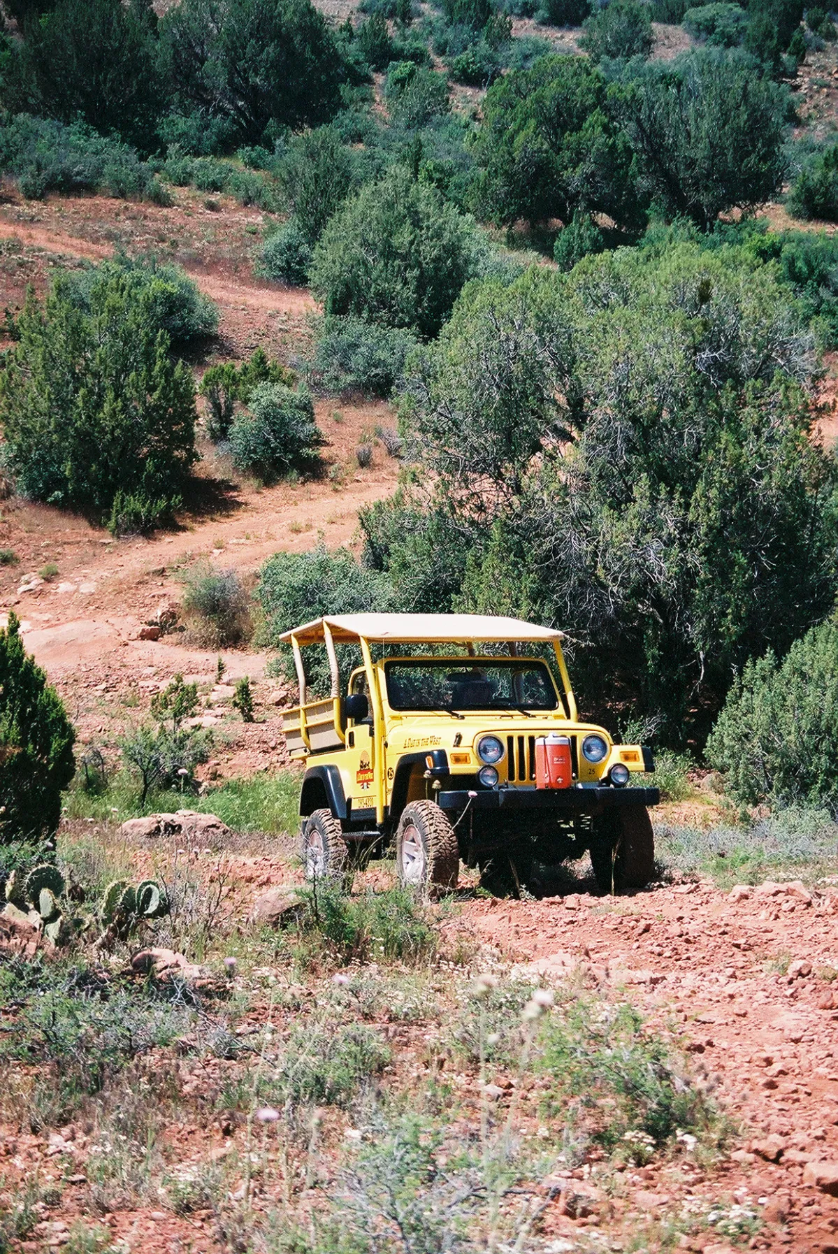 Yellow off-road vehicle driving on a rocky dirt trail surrounded by green trees and bushes.
