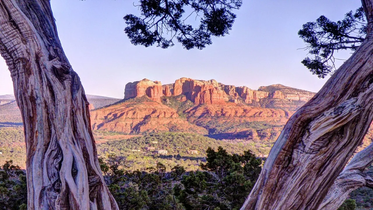 Red rock formations in Sedona framed by twisted tree trunks and green foliage under a clear sky.