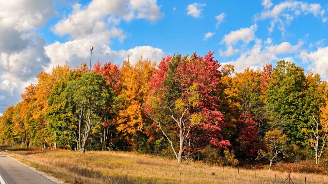 Fall colors near Mackinaw City during a Northern Michigan autumn getaway