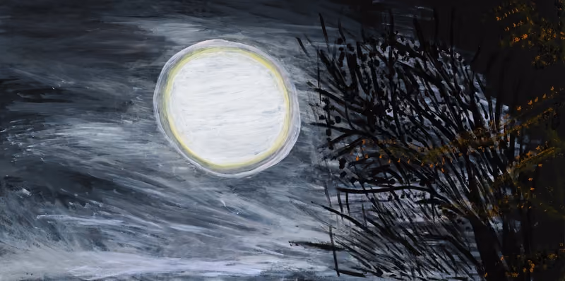 Moon in the Mist