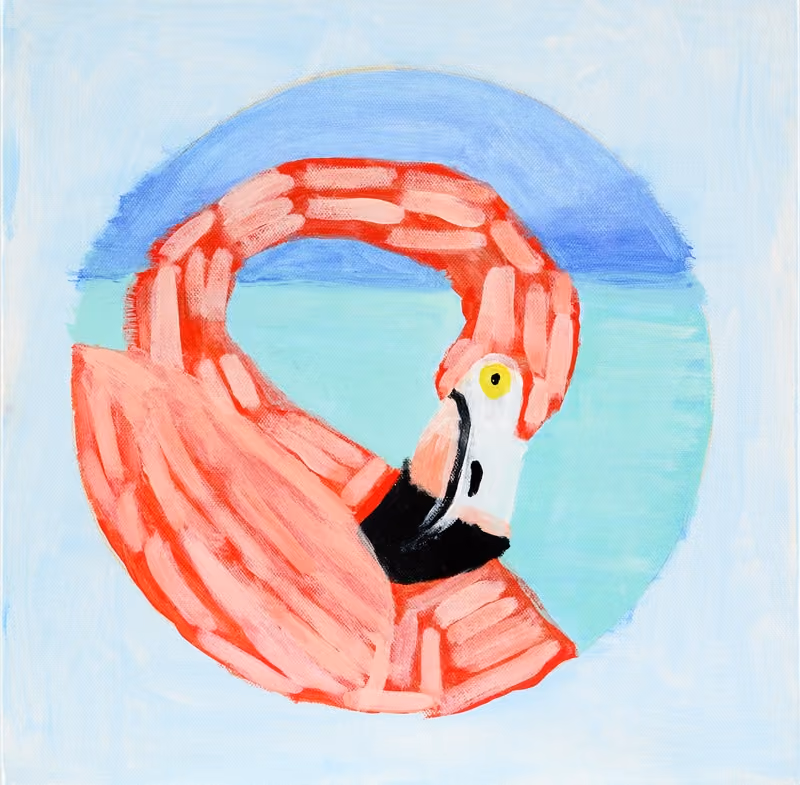 Flamingo