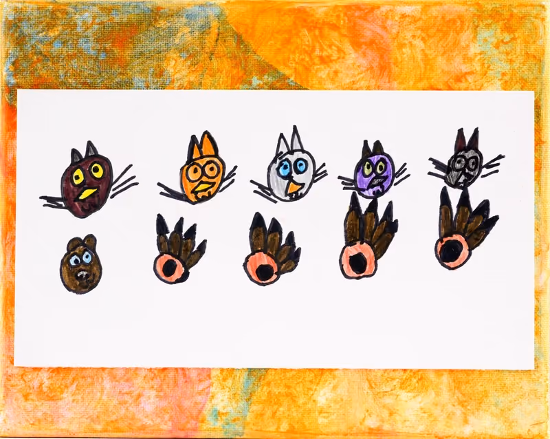 Cats