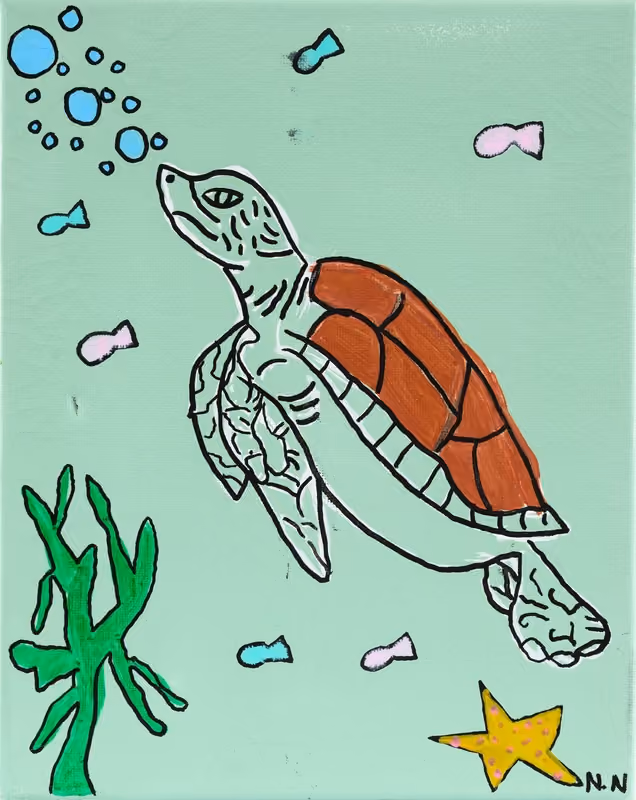 Turtle Treasure's 