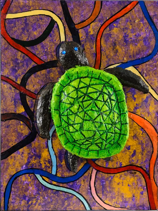 Tortoise Stuck in Matrix