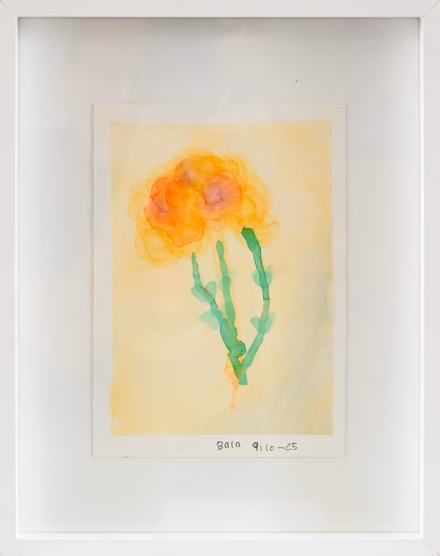 The Flower