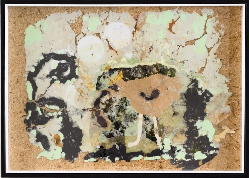 King Kiwi