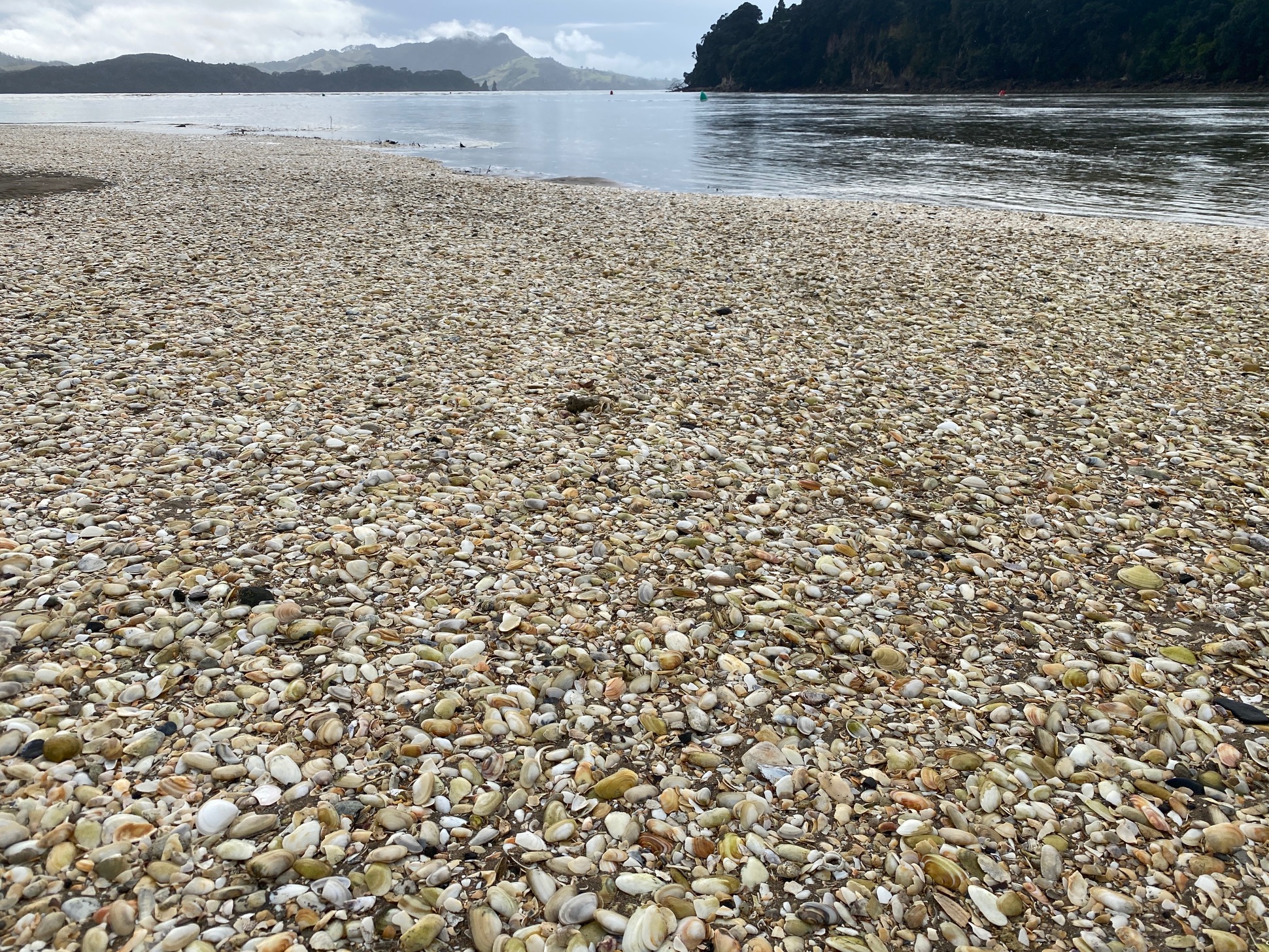 Shells, Hills and Water