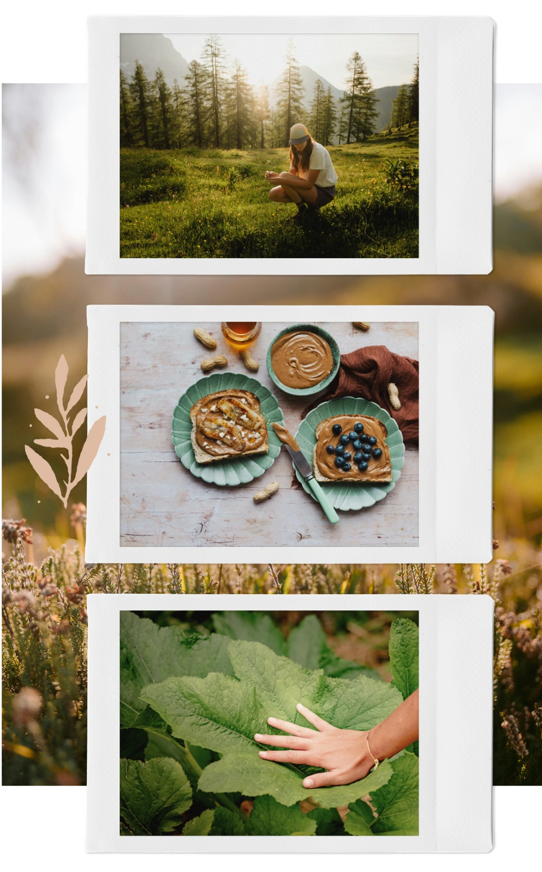 Three polaroid-style photos: a woman crouching on grass in a forest with sunlight, two plates with peanut butter toast and peanut butter bowl with peanuts, and a hand touching a large green leaf.