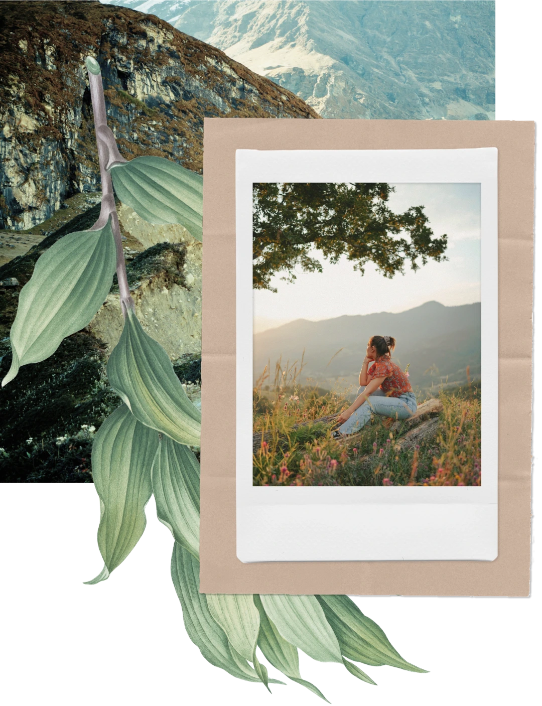 A woman in a red floral top and jeans sits on grass and rocks, looking at distant mountains under a tree at sunset.