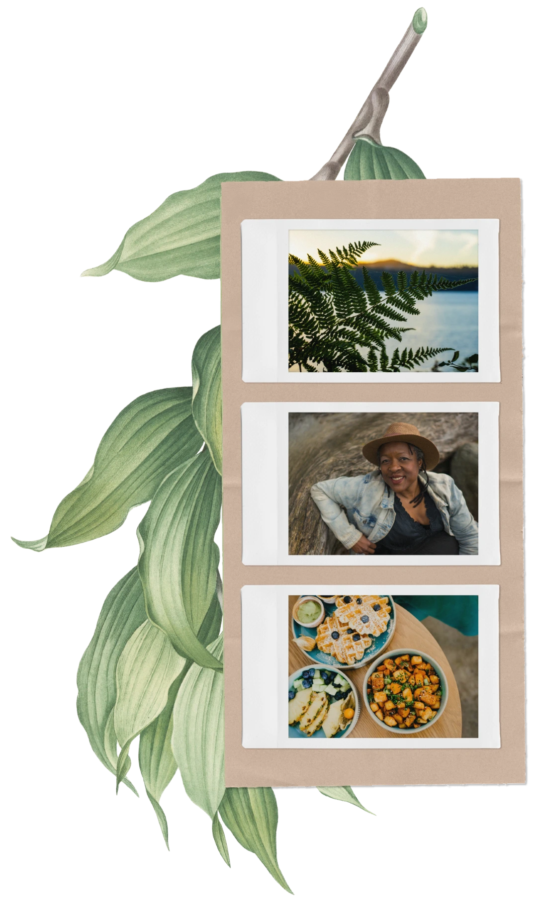 Three Polaroid-style photos on a brown board with green leaves behind: fern, woman in hat, bowls of food.