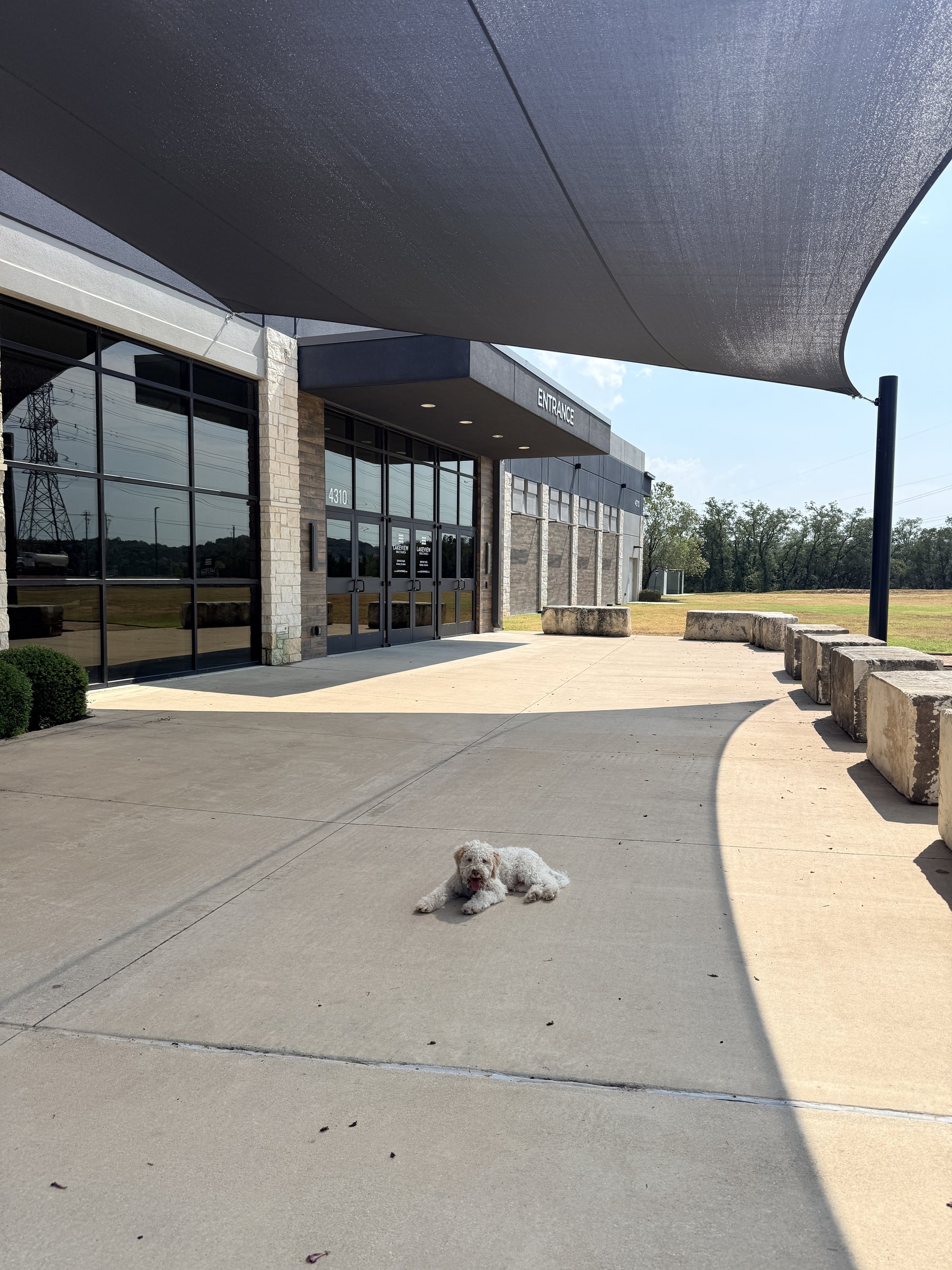 A dog resting in the shade under the front entry sail