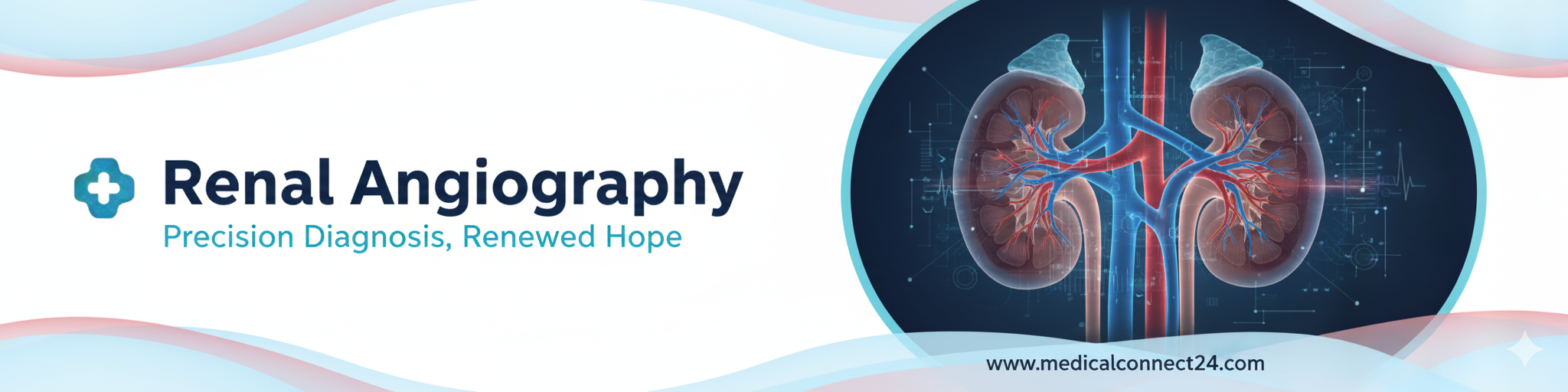 Renal Angiography 