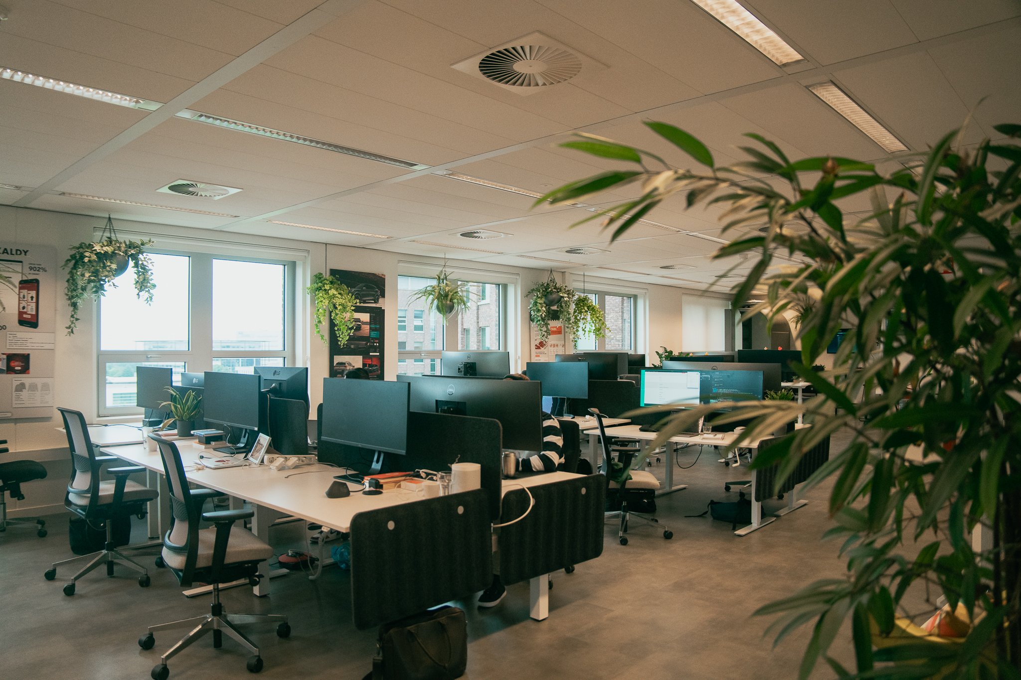 Open office with multiple desks, computer monitors, office chairs, hanging plants, and large windows.