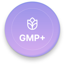 GMP+
