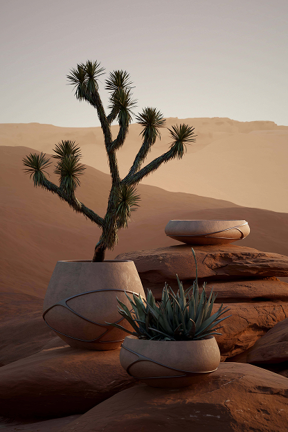 Lutala and Argila planters in the desert.