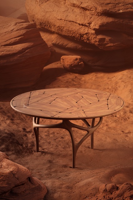 Cena outdoor dining table, desert canyon setting.