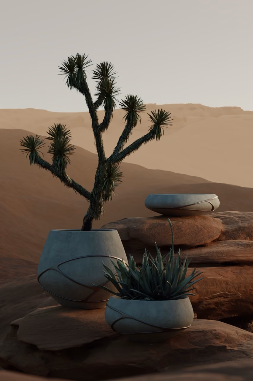 Lutala and Argila planters on desert rocks.