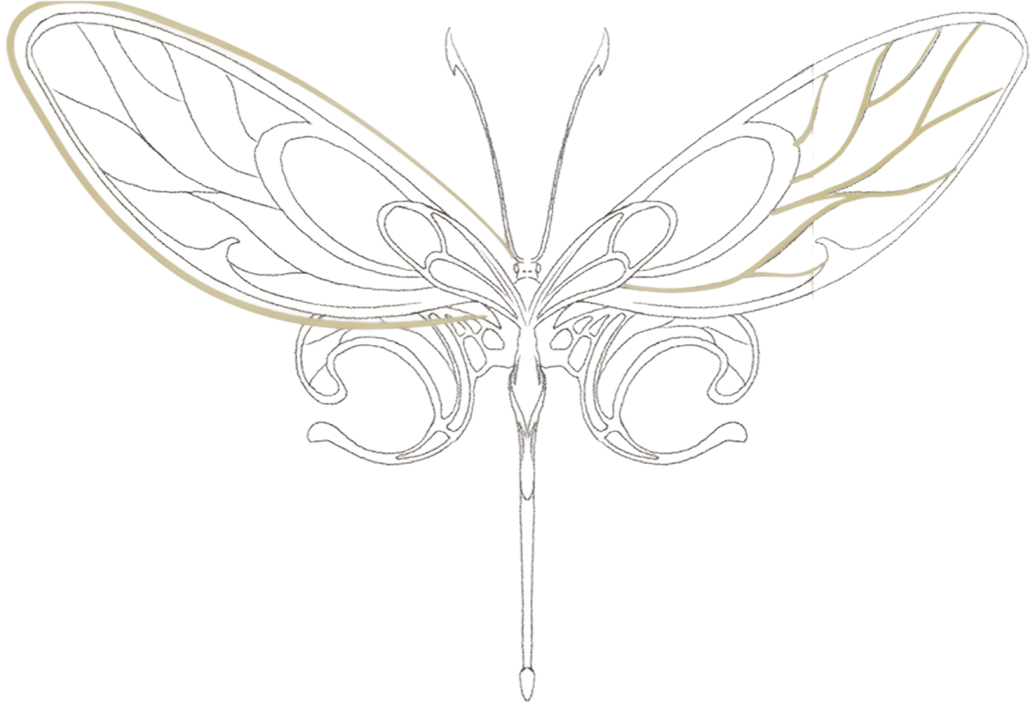 Morpho butterfly emblem, line illustration.