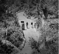 Two people walking on a winding mountain road surrounded by trees and vegetation, with one person wearing a backpack.