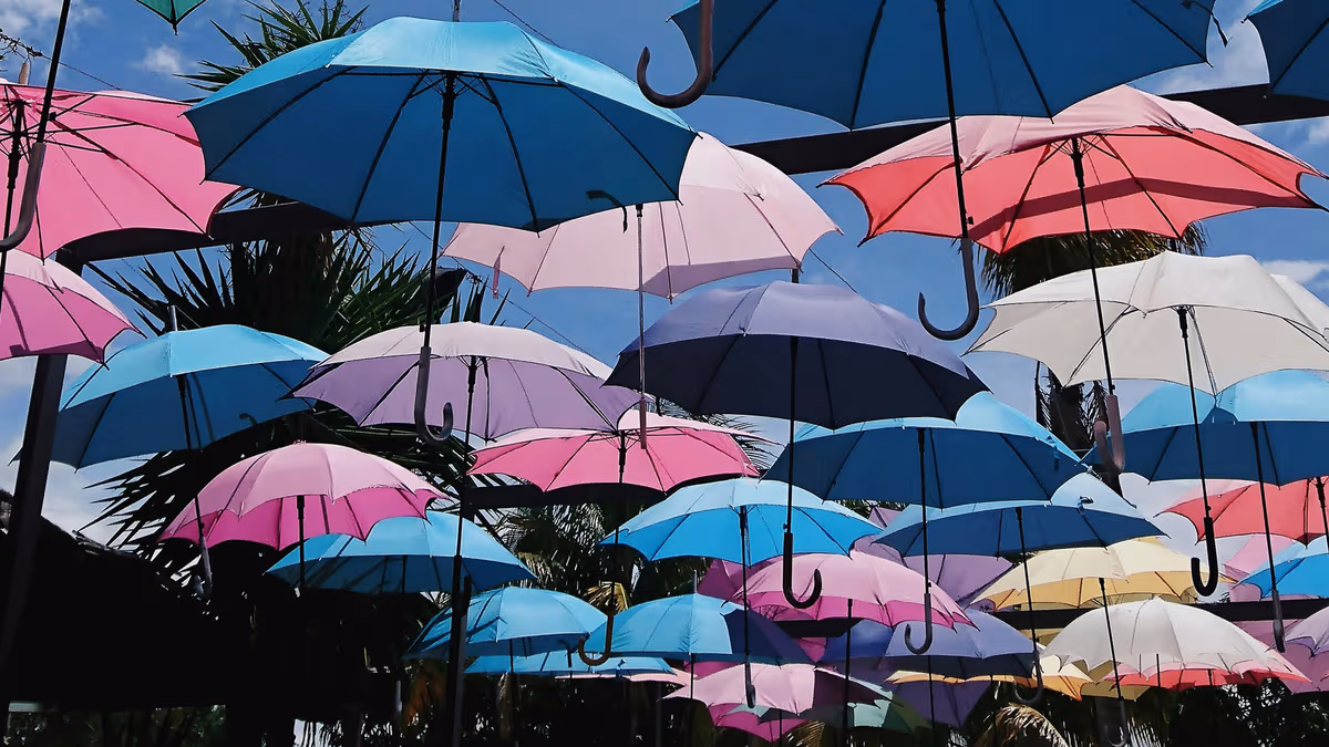 Many colorful umbrellas suspended in the air with a blue sky and palm trees in the background.