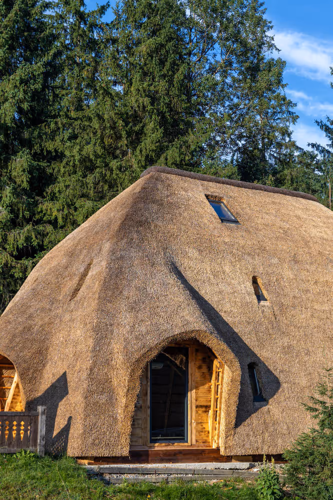 Modernes Reetdachhaus in naturnaher Waldlage mit außergewöhnlicher Architektur und Reeteindeckung.