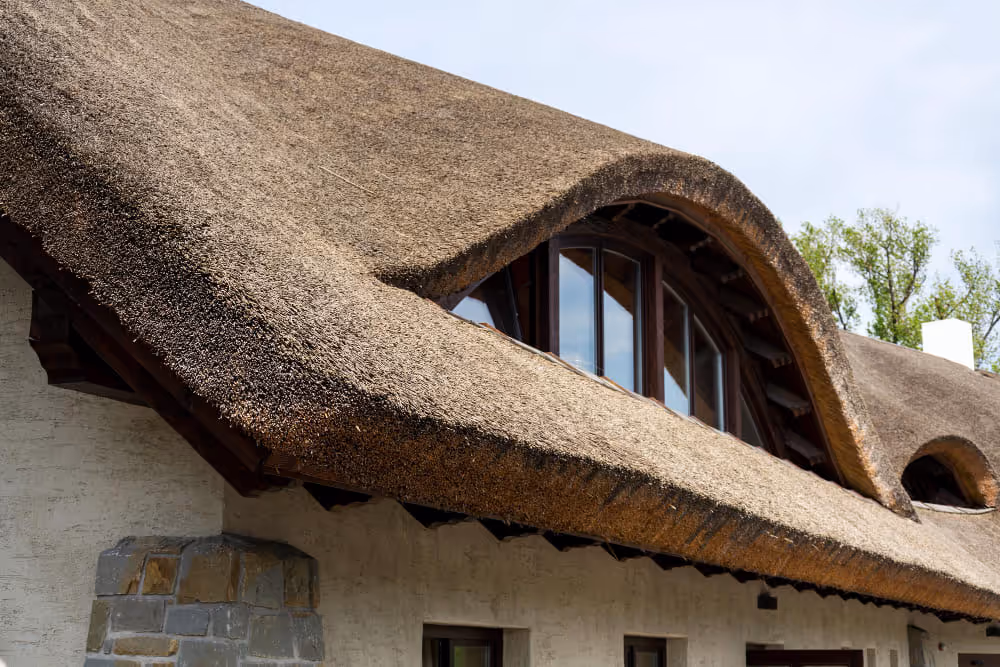 Detailaufnahme eines Reetdachs mit geschwungener Dachform und integrierten Fenstern an einem hochwertigen Wohnhaus.