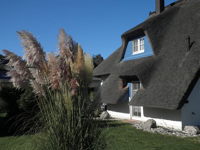 Historisches Reetdachhaus mit Garten und typischer norddeutscher Architektur